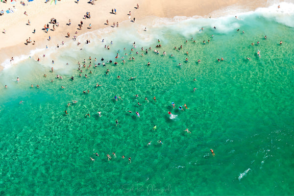 Bronte Swimmers