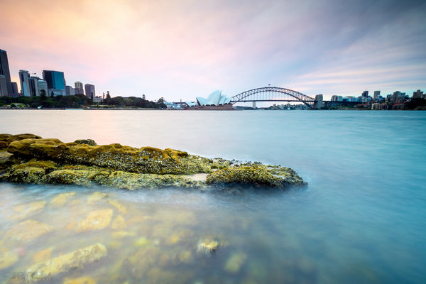 Sydney Burner