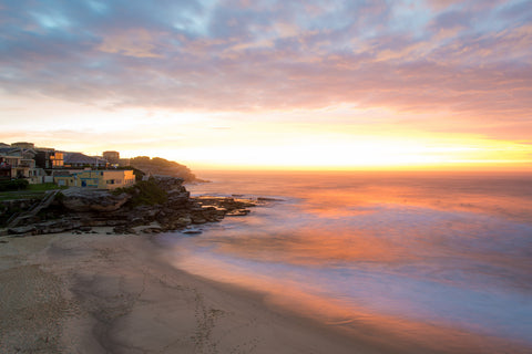 Glowing Tamarama